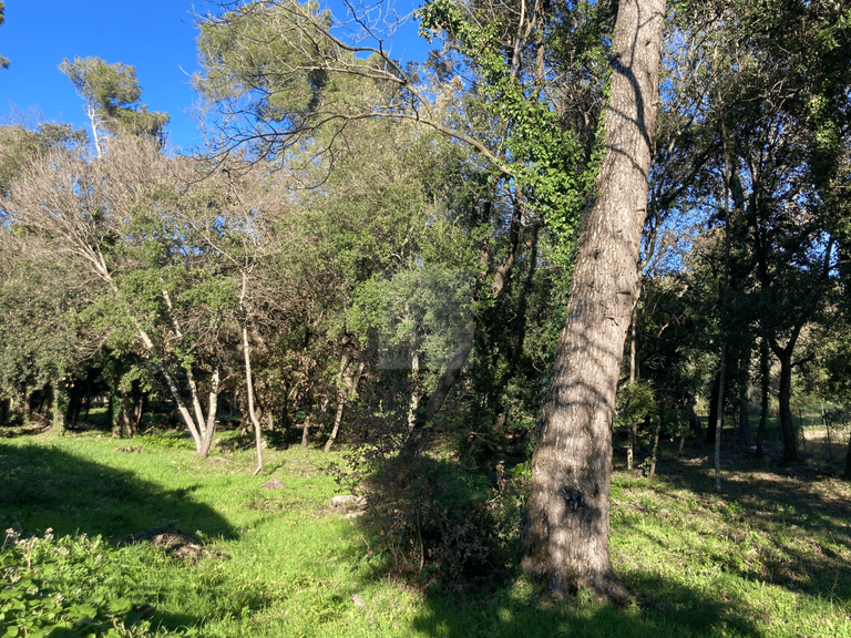 Land Saint-Paul-de-Vence - 1367m²