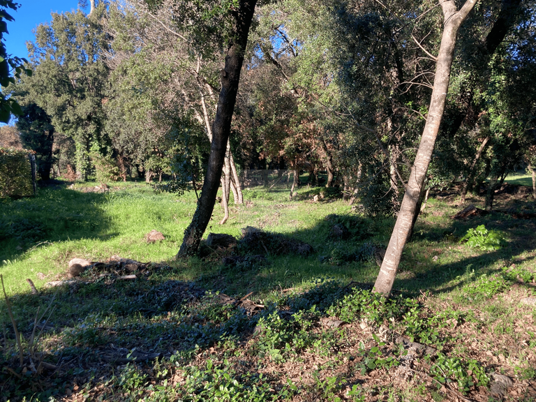 Land Saint-Paul-de-Vence - 1367m²