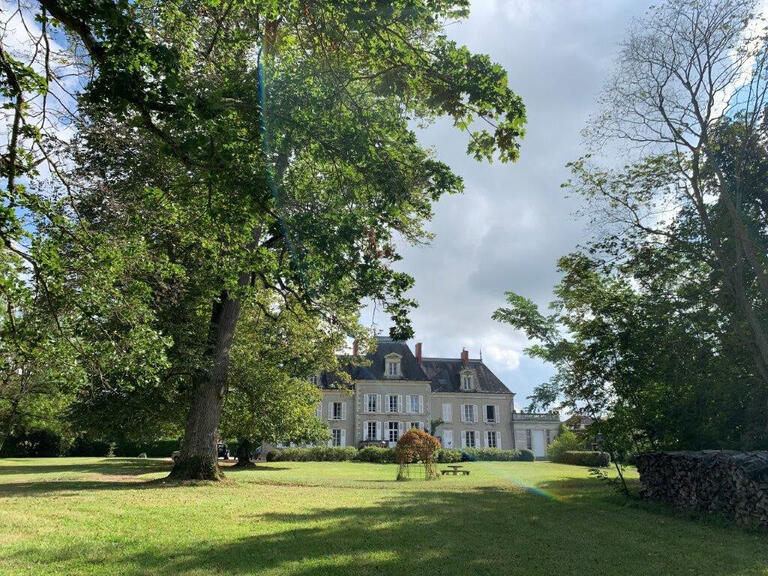 Sale Castle Saint-Pierre-le-Moûtier - 10 bedrooms