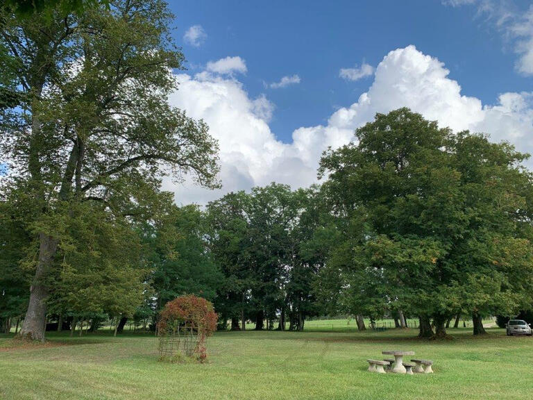 Château Saint-Pierre-le-Moûtier - 10 chambres - 700m²