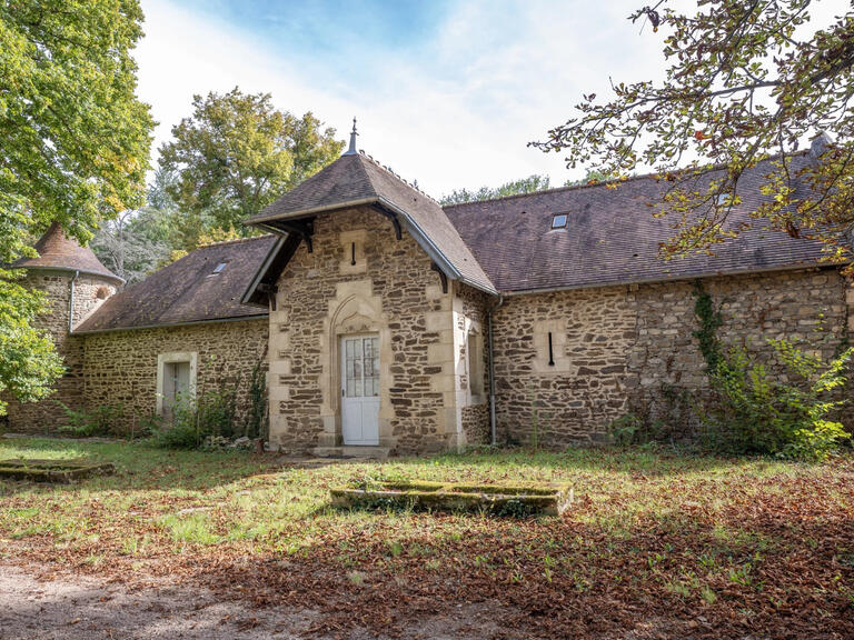 Château Saint-Quintin-sur-Sioule - 7 chambres - 800m²