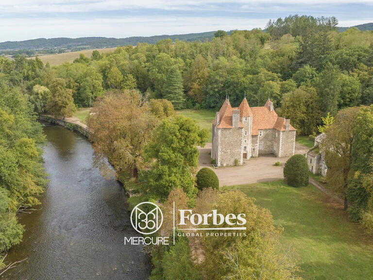 Château Saint-Quintin-sur-Sioule - 7 chambres - 800m²