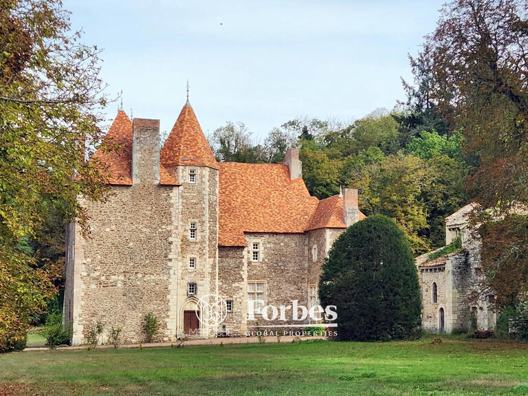 Château Saint-Quintin-sur-Sioule - 7 chambres - 800m²