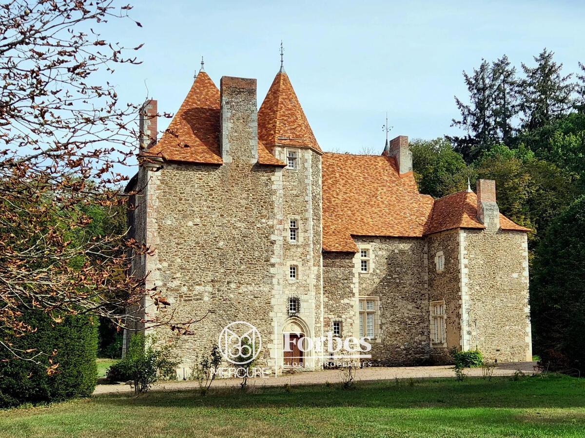 Castle Saint-Quintin-sur-Sioule