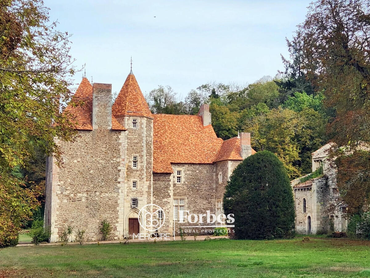 Castle Saint-Quintin-sur-Sioule