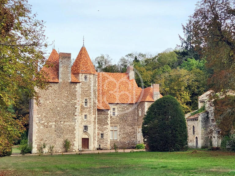 Château Saint-Quintin-sur-Sioule - 7 chambres - 800m²