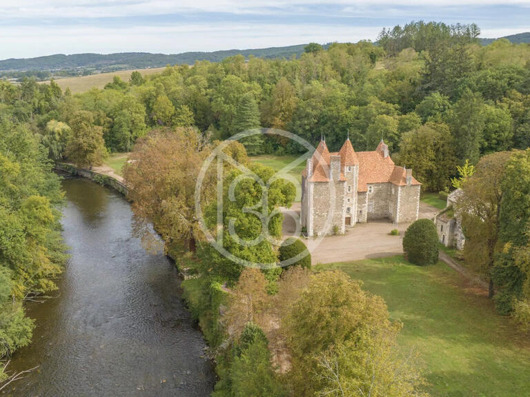 Château Saint-Quintin-sur-Sioule - 7 chambres - 800m²