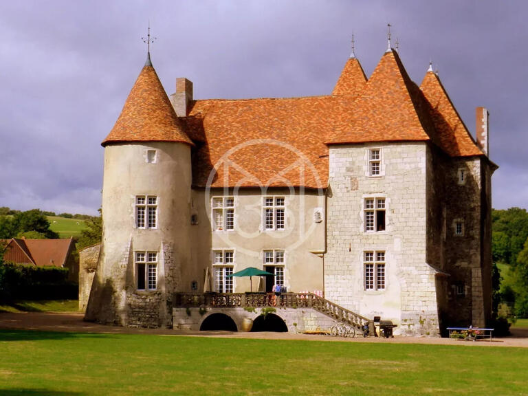 Château Saint-Quintin-sur-Sioule - 7 chambres - 800m²