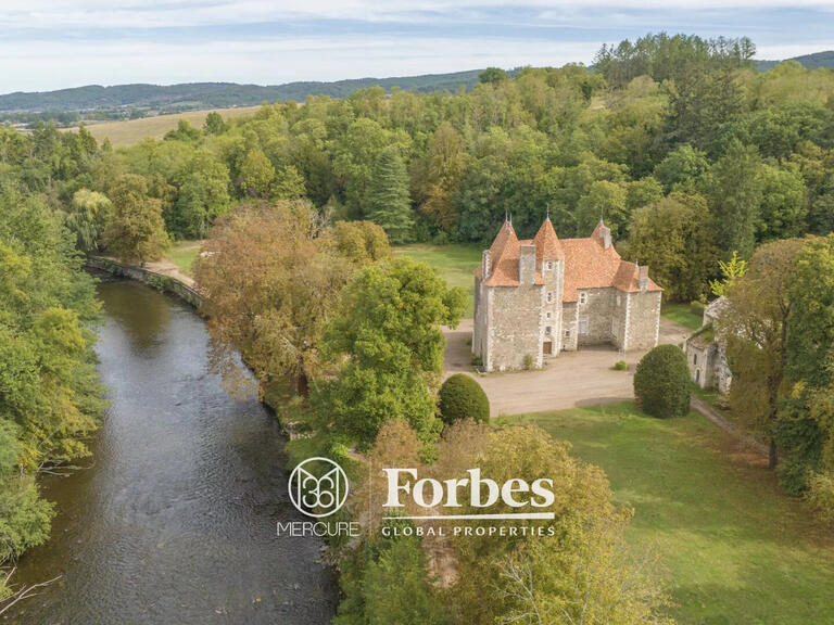 Château Saint-Quintin-sur-Sioule - 7 chambres - 800m²