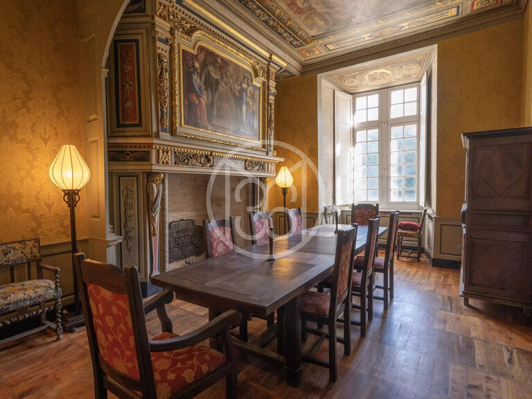 Château Saint-Quintin-sur-Sioule - 7 chambres - 800m²