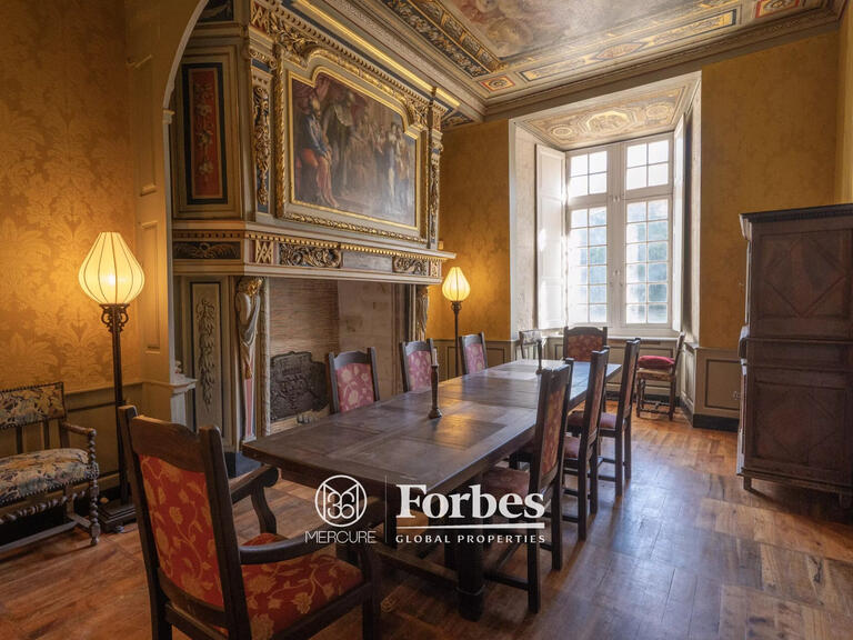 Château Saint-Quintin-sur-Sioule - 7 chambres - 800m²