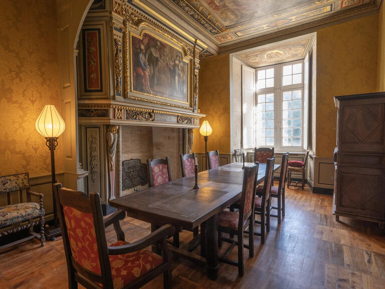 Château Saint-Quintin-sur-Sioule - 7 chambres - 800m²