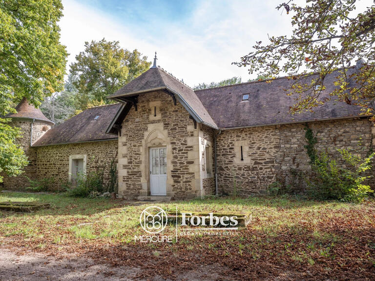 Château Saint-Quintin-sur-Sioule - 7 chambres - 800m²