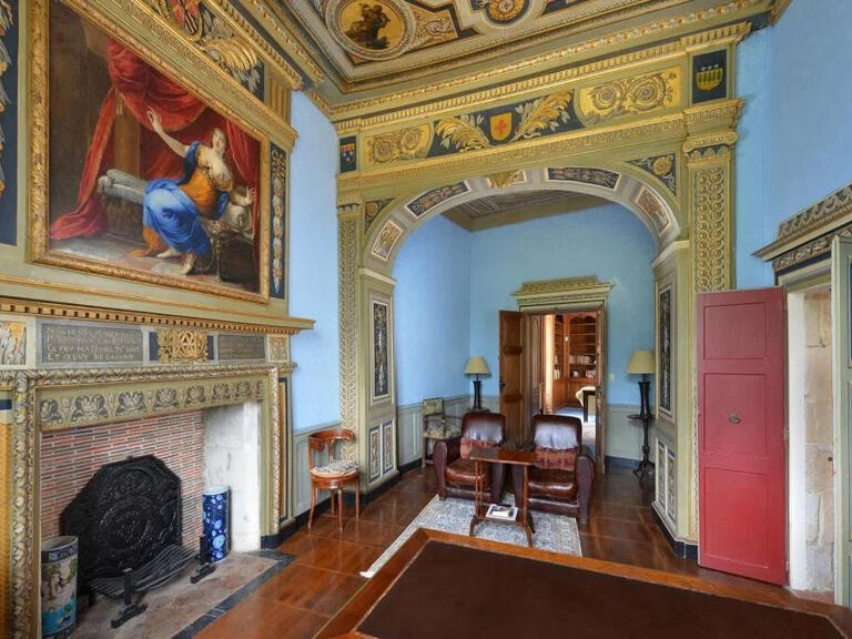 Château Saint-Quintin-sur-Sioule - 7 chambres - 800m²