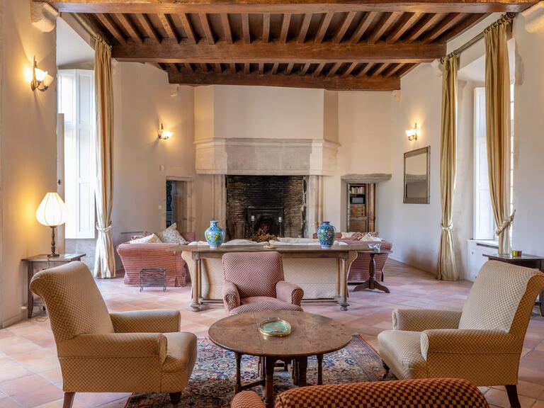 Château Saint-Quintin-sur-Sioule - 7 chambres - 800m²