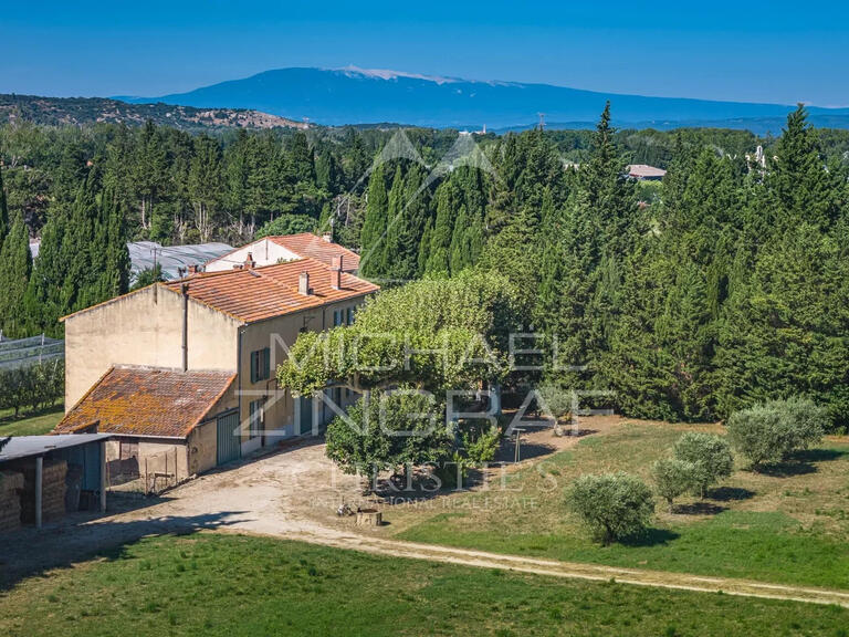 Maison Saint-Rémy-de-Provence - 7 chambres - 579m²