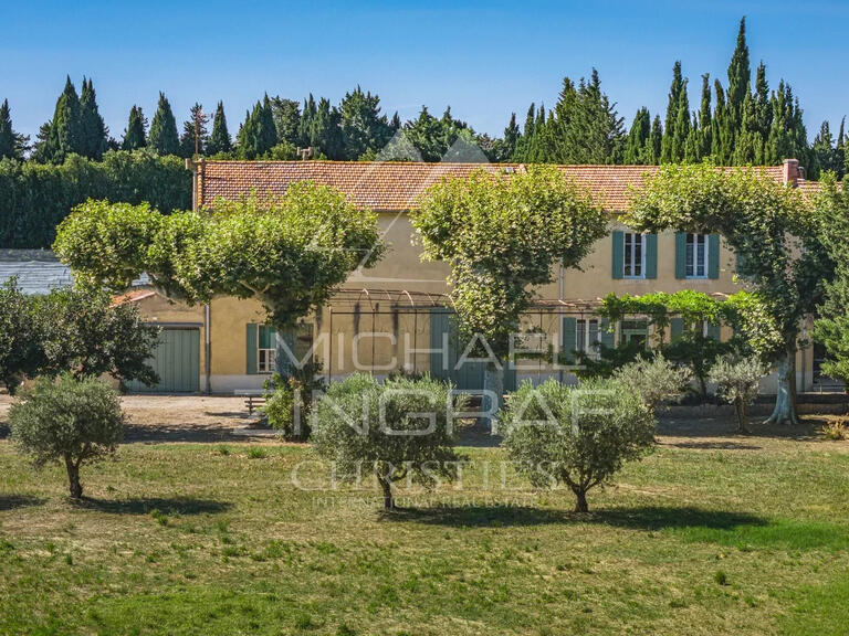 House Saint-Rémy-de-Provence - 7 bedrooms - 579m²