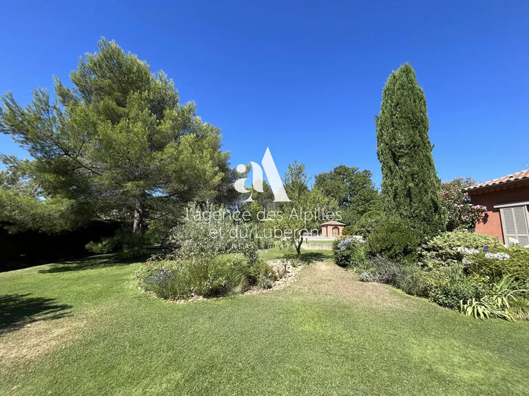 Maison Saint-Rémy-de-Provence - 6 chambres - 300m²