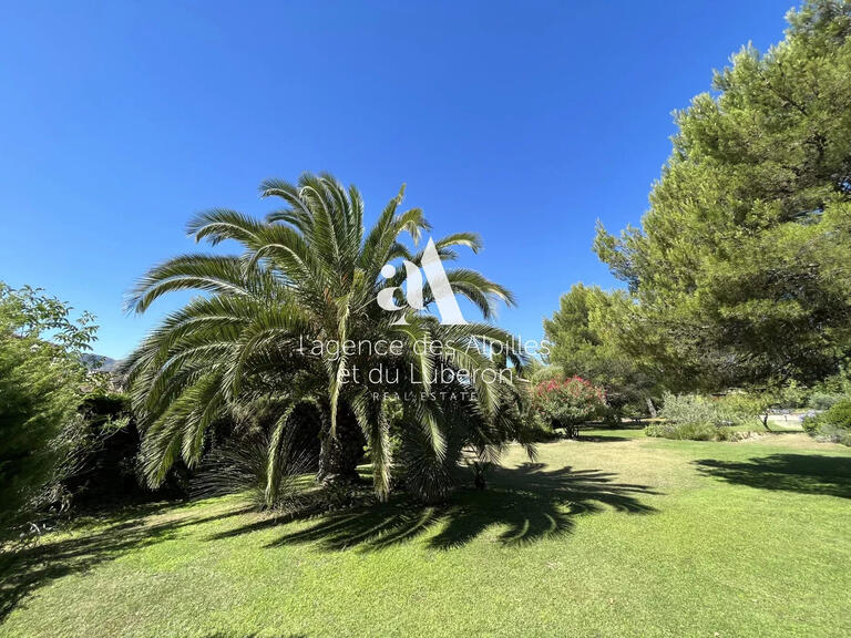 House Saint-Rémy-de-Provence - 6 bedrooms - 300m²