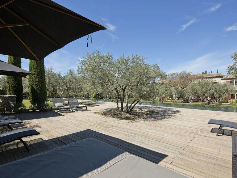 House Saint-Rémy-de-Provence - 7 bedrooms - 10000m²