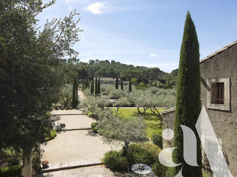 House Saint-Rémy-de-Provence - 7 bedrooms - 10000m²