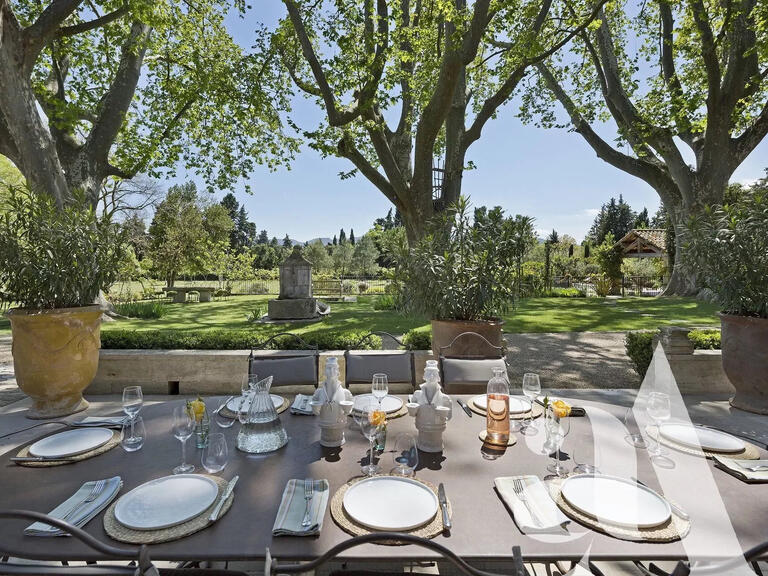 Maison Saint-Rémy-de-Provence - 10 chambres - 30000m²