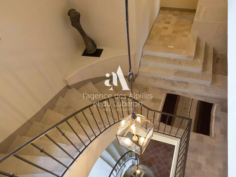 House Saint-Rémy-de-Provence - 10 bedrooms - 30000m²