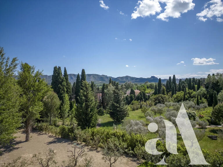 Maison Saint-Rémy-de-Provence - 5 chambres - 250m²