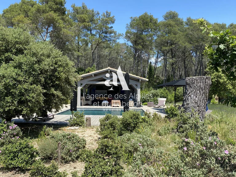 House Saint-Rémy-de-Provence - 4 bedrooms - 7000m²