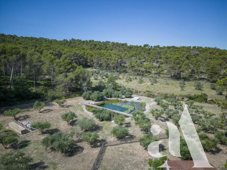 House Saint-Rémy-de-Provence - 4 bedrooms - 250m²