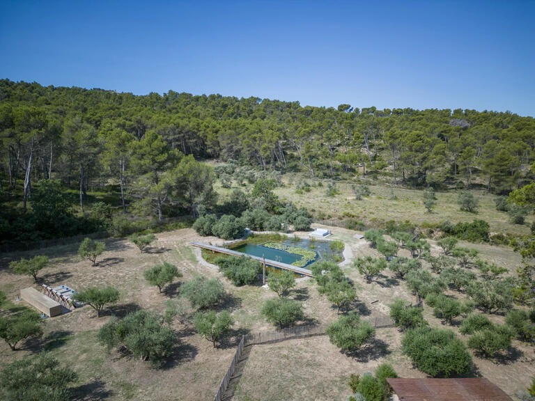 House Saint-Rémy-de-Provence - 4 bedrooms - 250m²