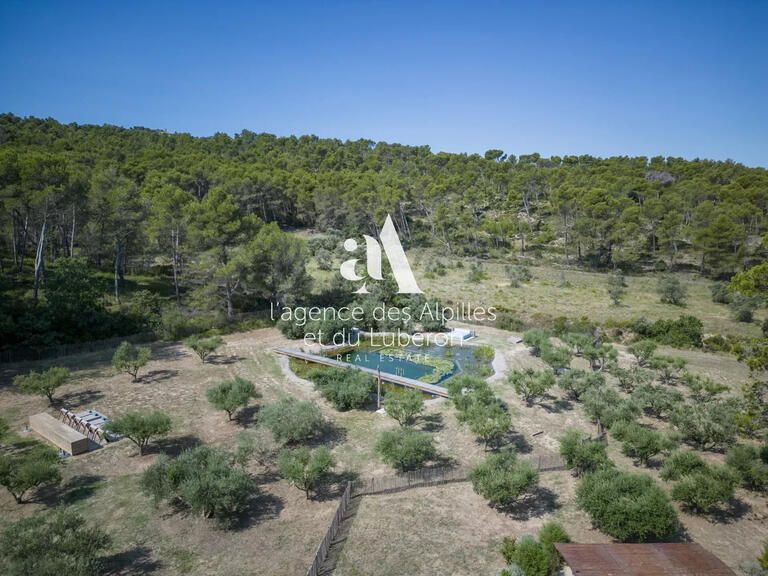 House Saint-Rémy-de-Provence - 4 bedrooms - 250m²