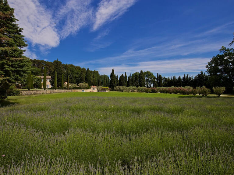 House Saint-Rémy-de-Provence - 9 bedrooms - 710m²