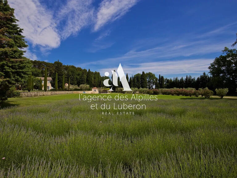 House Saint-Rémy-de-Provence - 9 bedrooms - 710m²