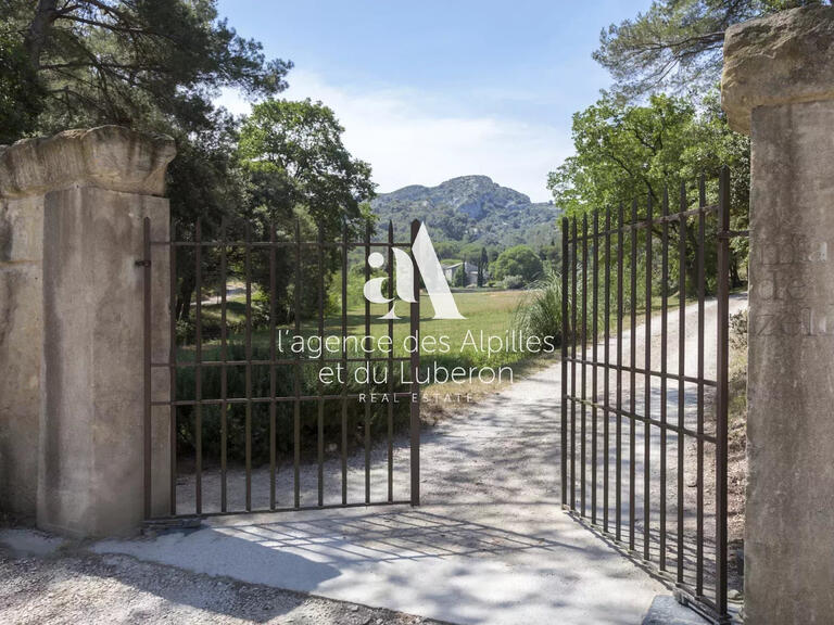 House Saint-Rémy-de-Provence - 6 bedrooms - 12000m²