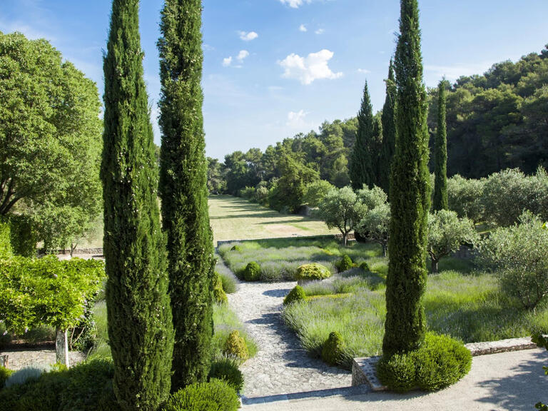 House Saint-Rémy-de-Provence - 6 bedrooms - 12000m²