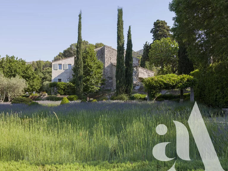 Maison Saint-Rémy-de-Provence - 6 chambres - 12000m²