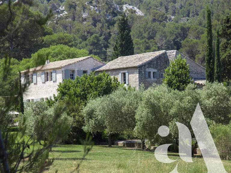 Maison Saint-Rémy-de-Provence - 6 chambres - 12000m²