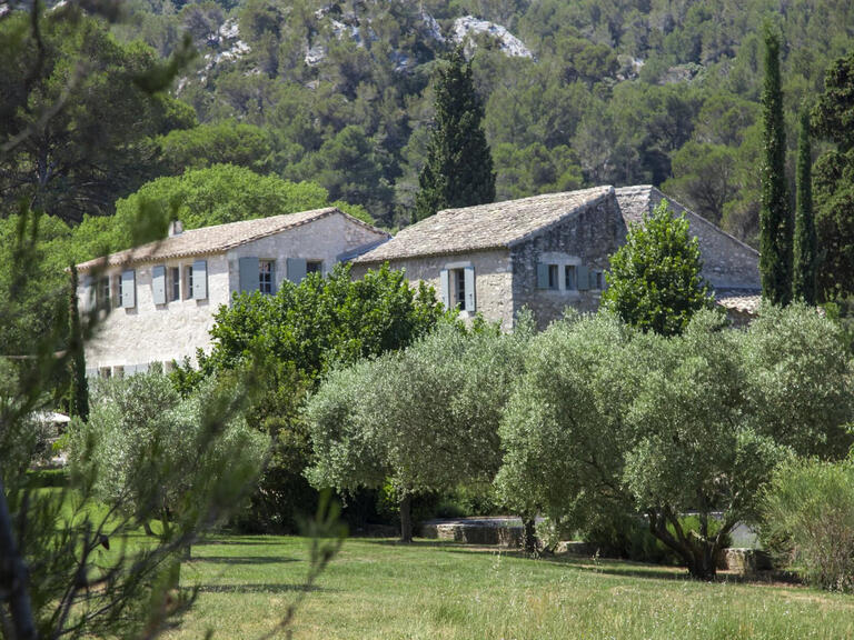 House Saint-Rémy-de-Provence - 6 bedrooms - 12000m²