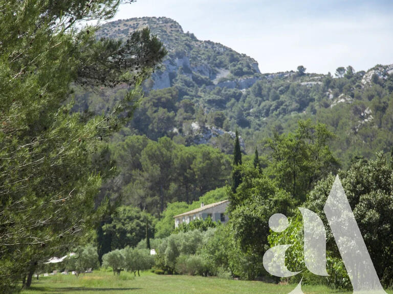 Maison Saint-Rémy-de-Provence - 6 chambres - 12000m²