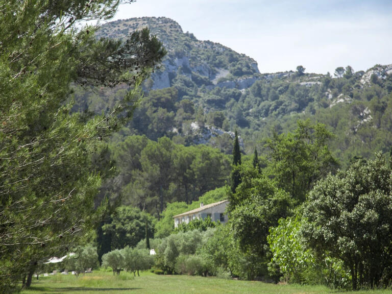 House Saint-Rémy-de-Provence - 6 bedrooms - 12000m²