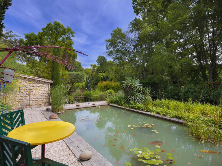 House Saint-Rémy-de-Provence - 9 bedrooms - 5000m²