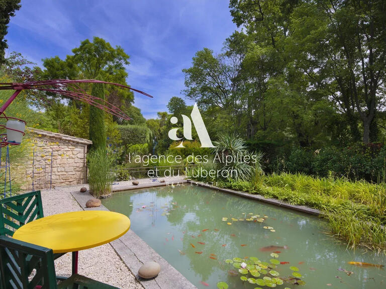 House Saint-Rémy-de-Provence - 8 bedrooms - 5000m²