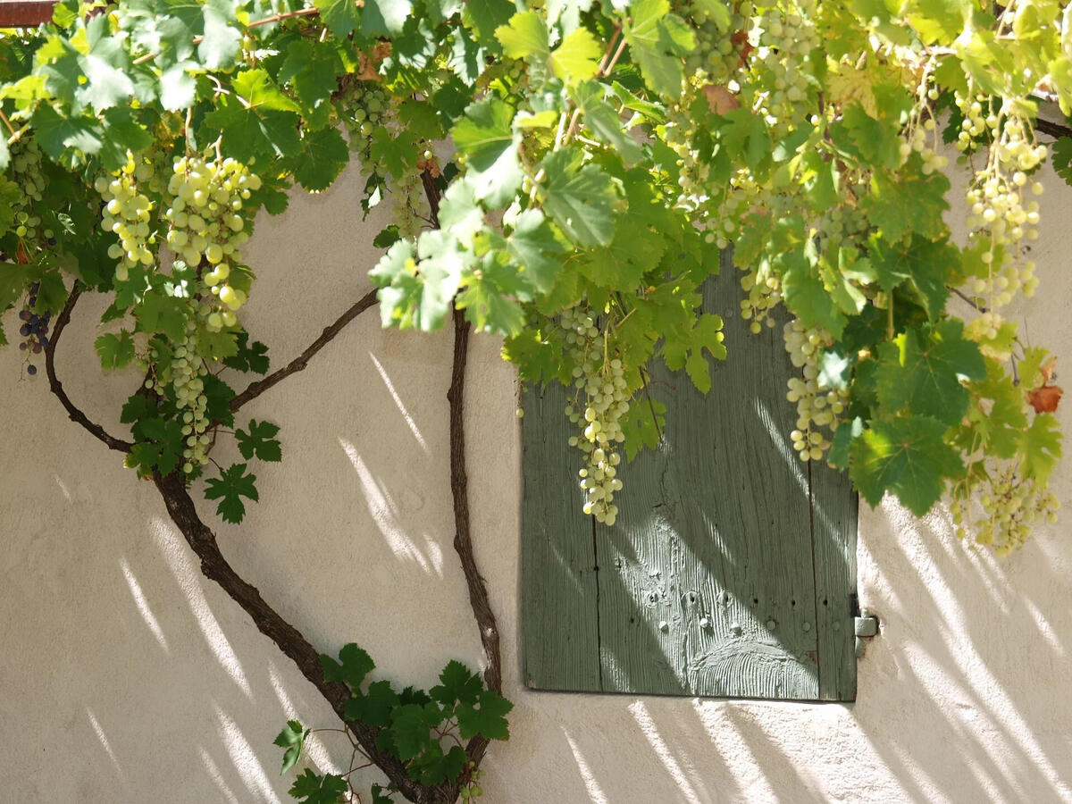 House Saint-Rémy-de-Provence