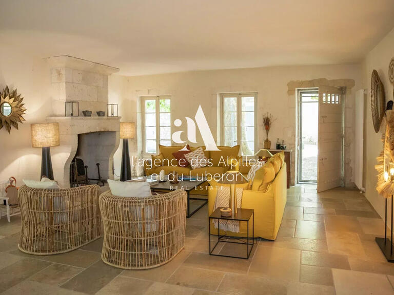 Maison Saint-Rémy-de-Provence - 7 chambres - 400m²