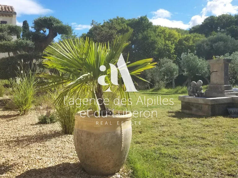 House Saint-Rémy-de-Provence - 5 bedrooms - 3000m²