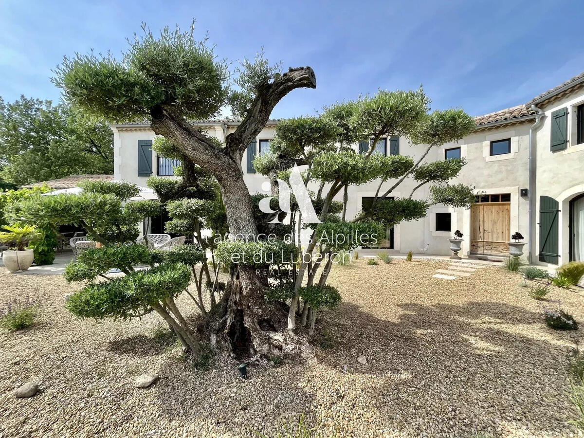 House Saint-Rémy-de-Provence