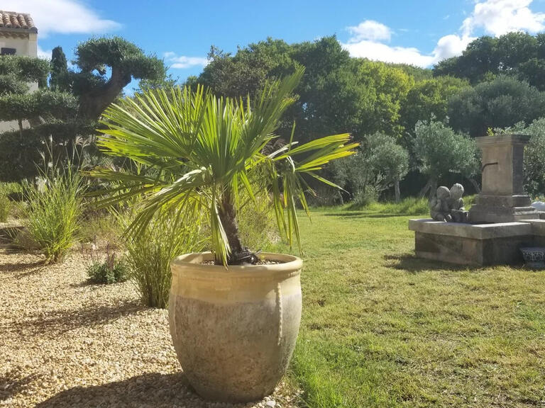 Maison Saint-Rémy-de-Provence - 5 chambres - 3000m²