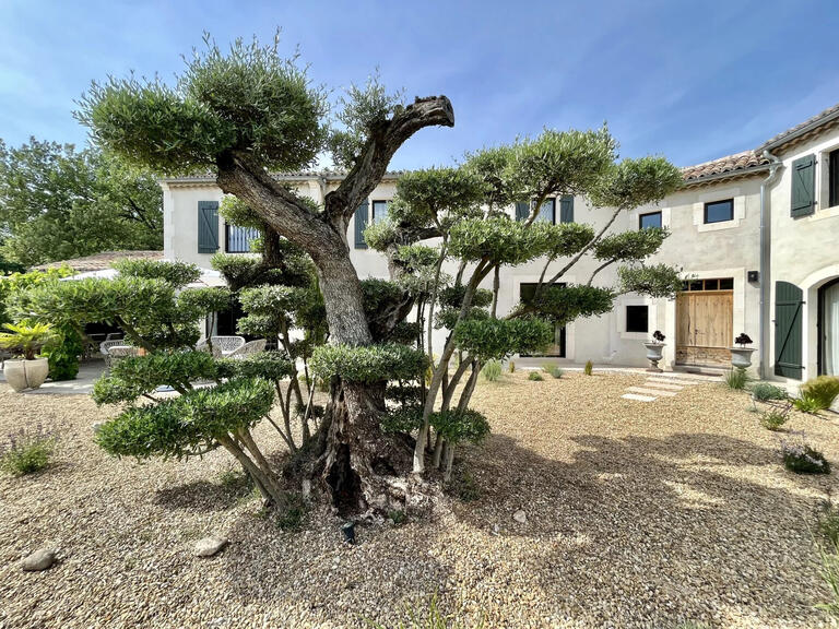 Maison Saint-Rémy-de-Provence - 5 chambres - 3000m²