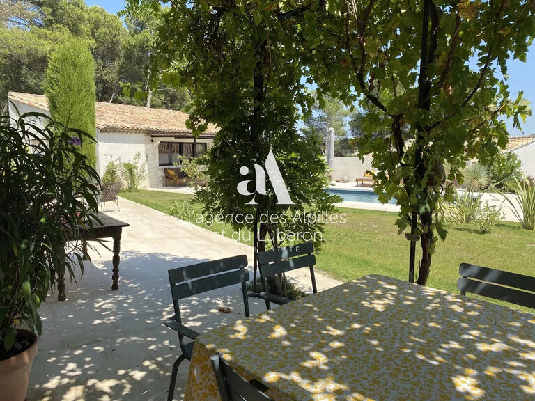 House Saint-Rémy-de-Provence - 3 bedrooms - 1300m²